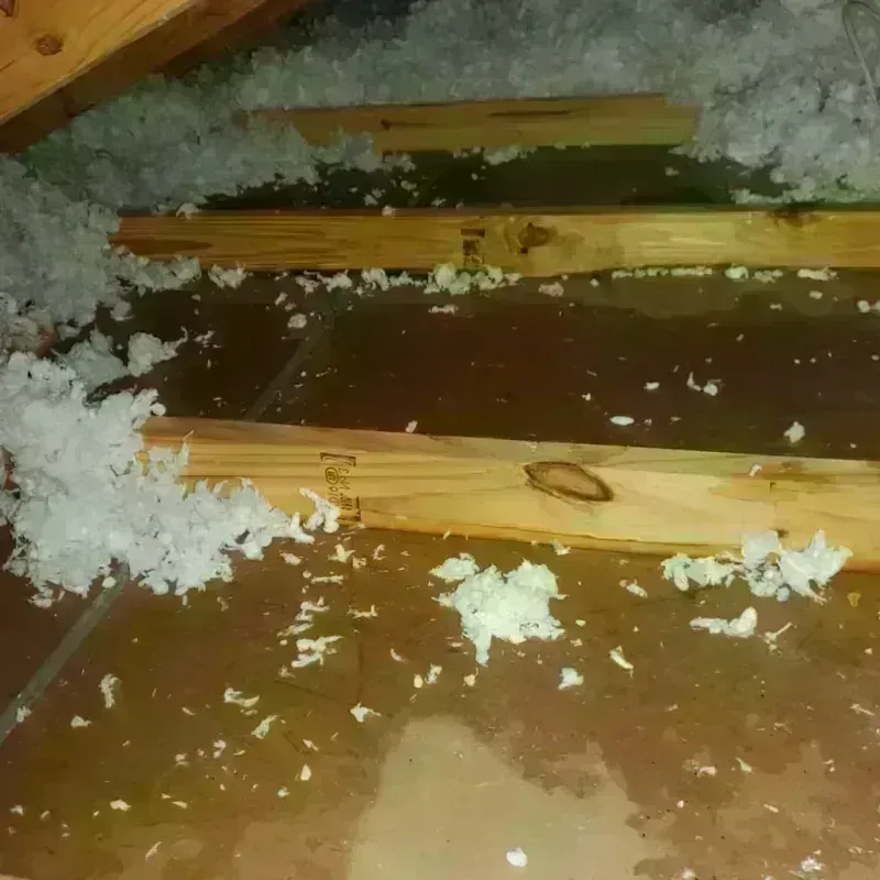 Attic Water Damage in Sidney, NE