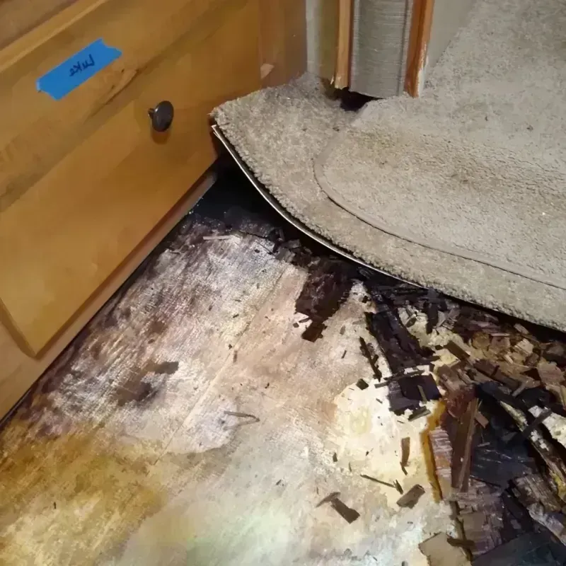 Wood Floor Water Damage in Sidney, NE